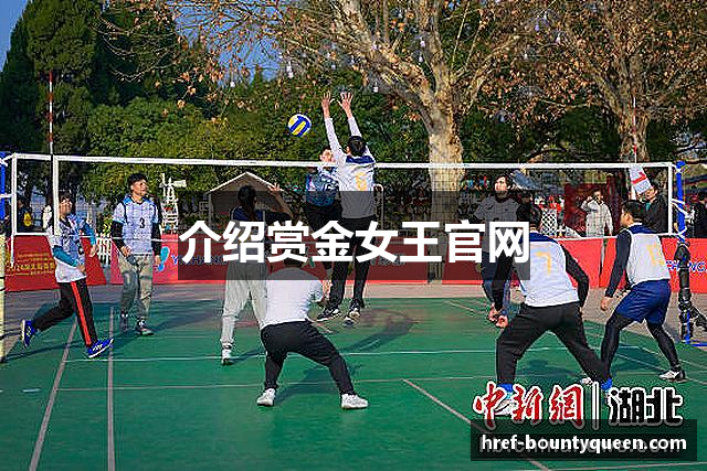 介绍赏金女王官网